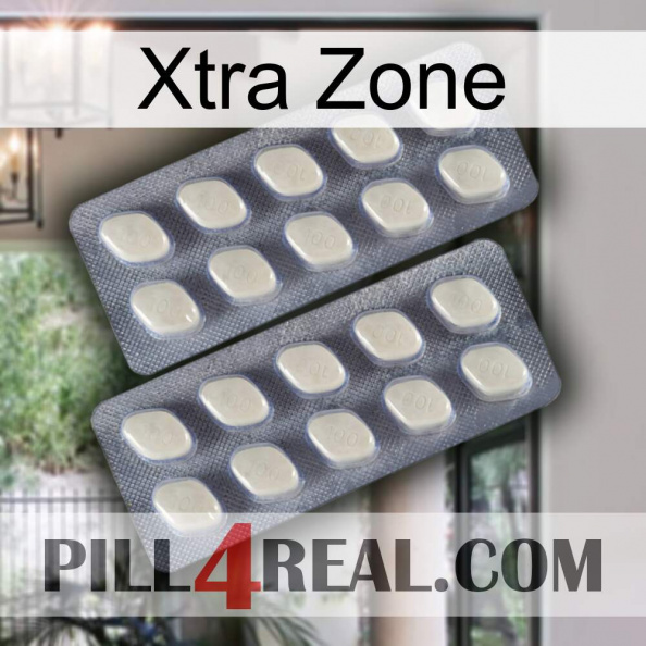 Xtra Zone 07.jpg